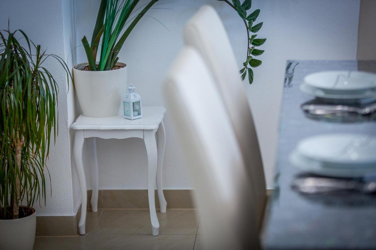 Apartment Luni ロクヴァ・ロゴズニツァ エクステリア 写真